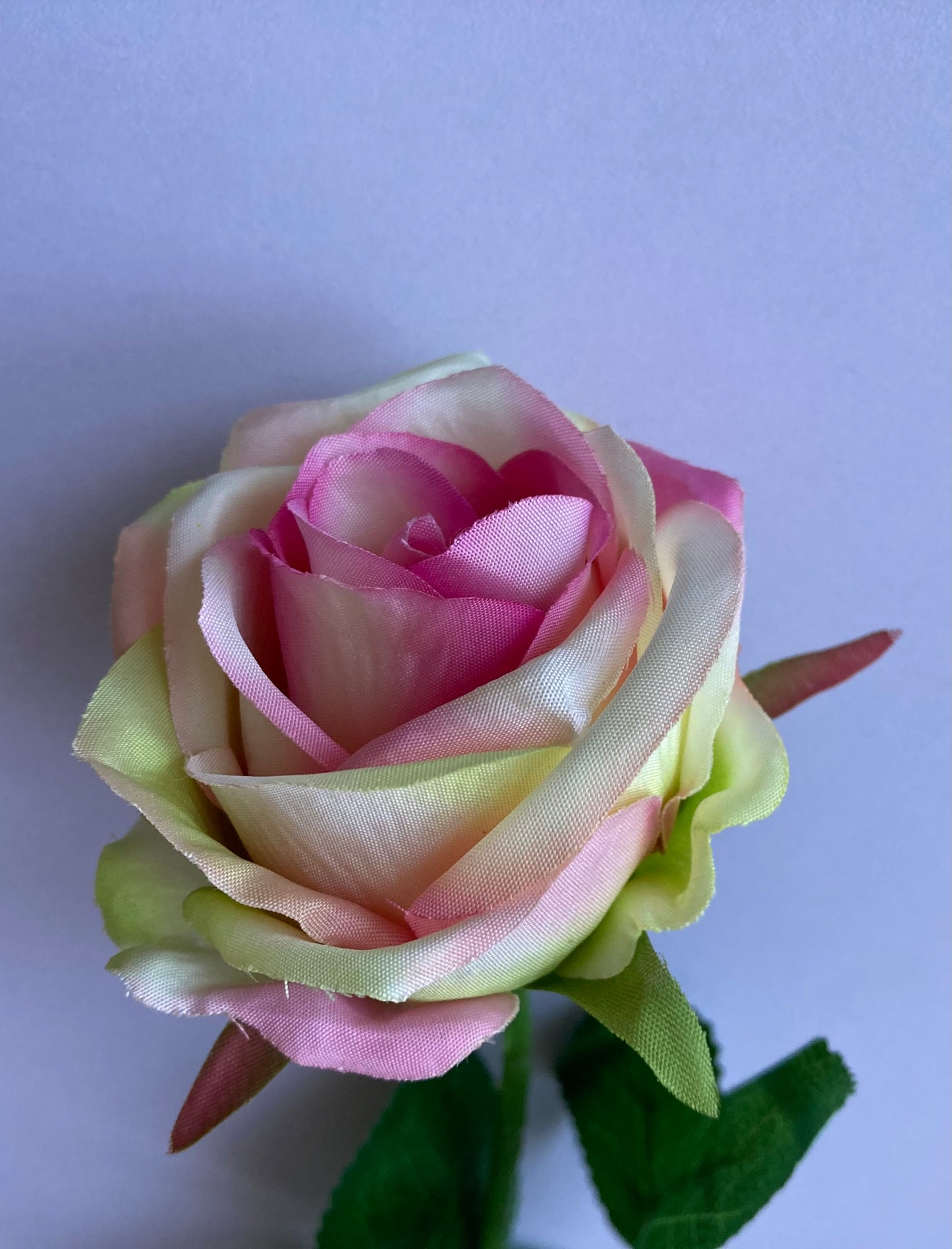 Pink & Green Small Rose