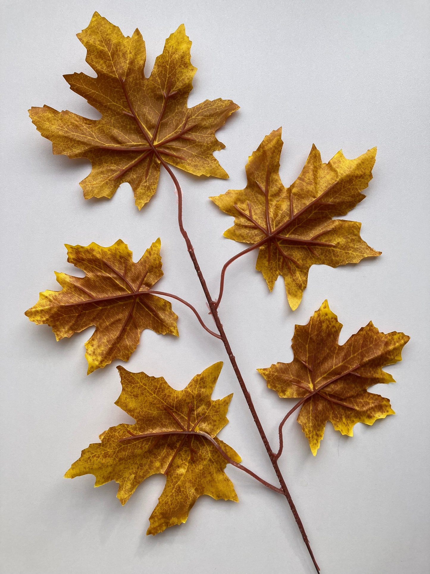 Brown Maple Leaves
