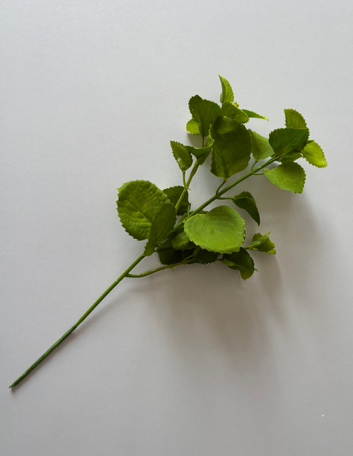 Diagonal flat lay shot of an artificial green patchouli leaf foliage spray showing the full stem length with a main wired plastic stem, two branch stems and multiple variety-sized rounded serrated green fabric silk leaves arranged naturally against a plain light grey background