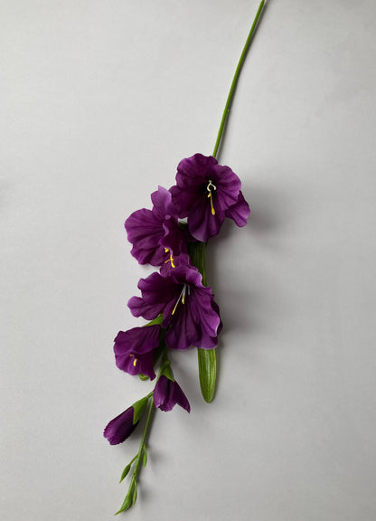 Purple Gladiolus Spray