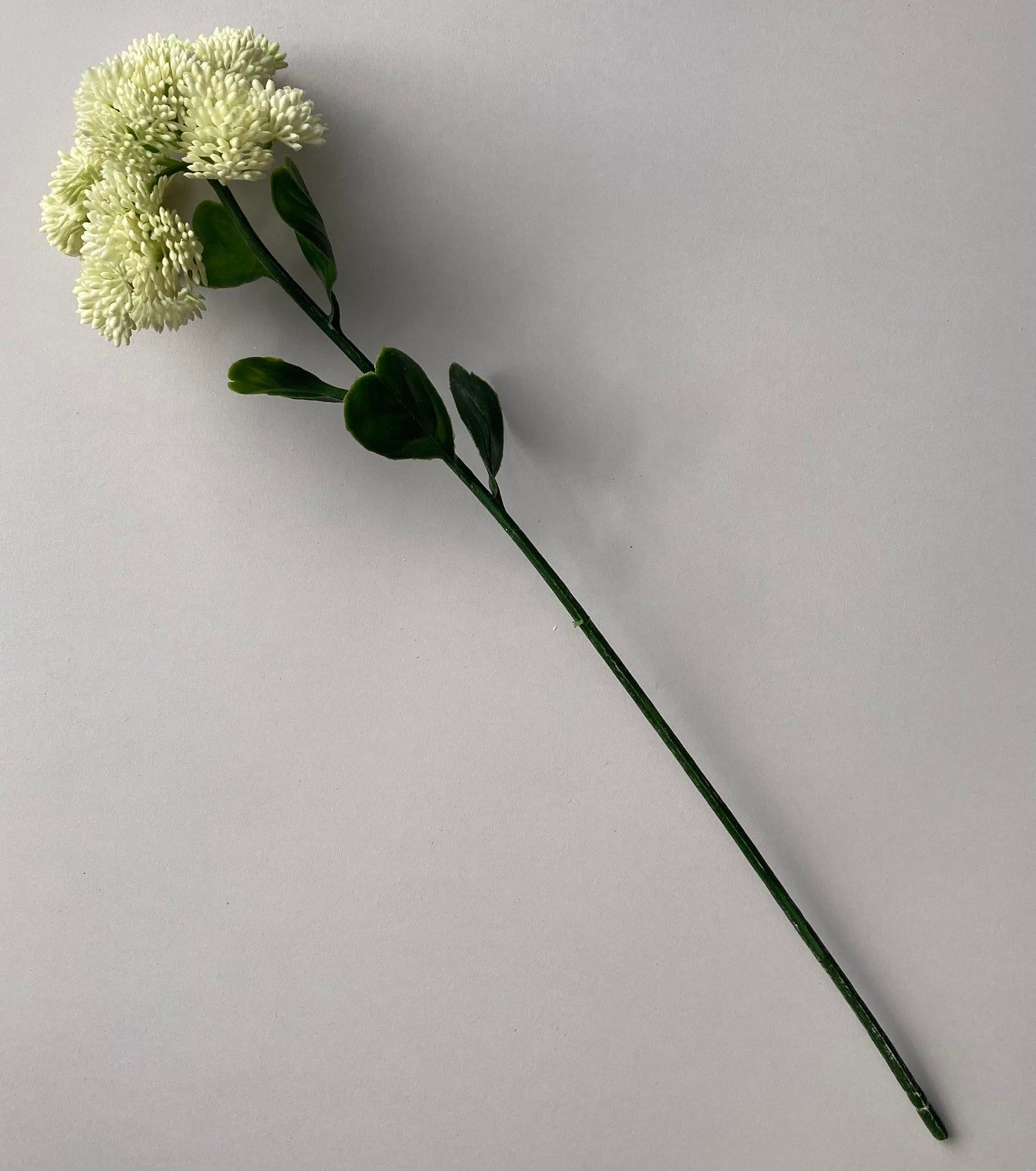 White/Ivory Sedum Spray
