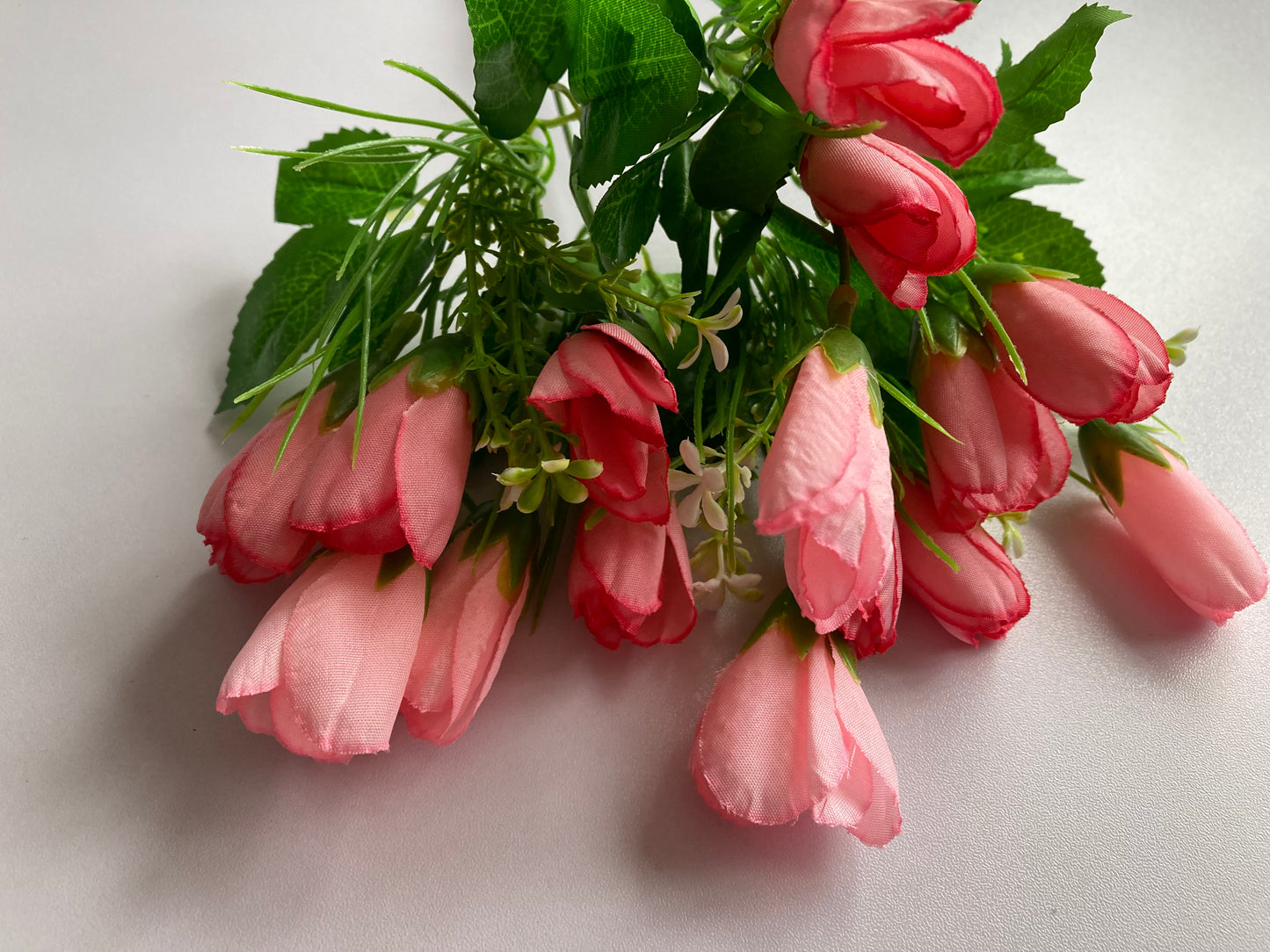 Pink Crocus Bunch