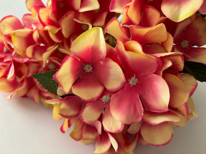 Large Pink/Peach Hydrangea Bunch