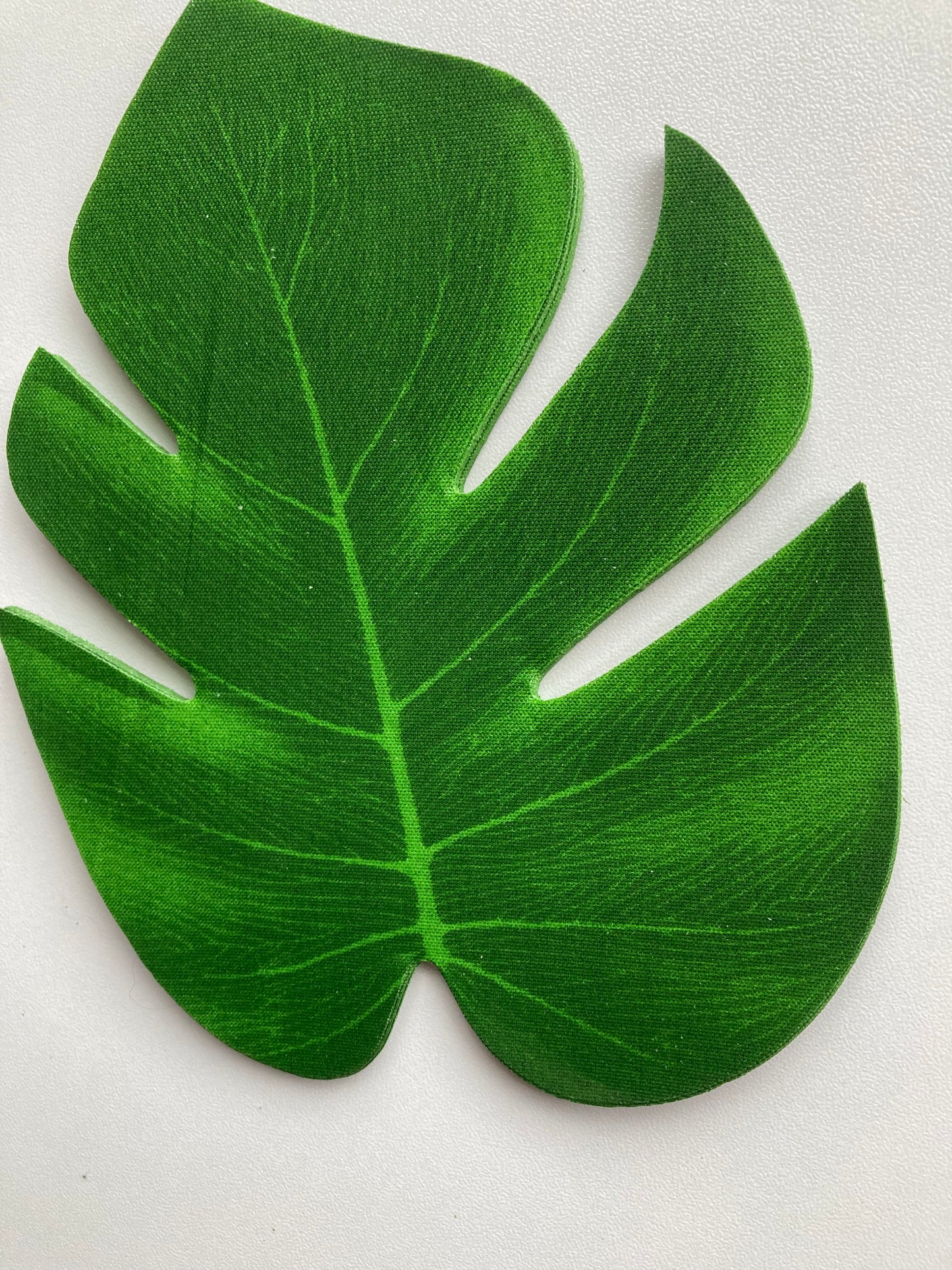 12 Medium Monstera Leaf Heads