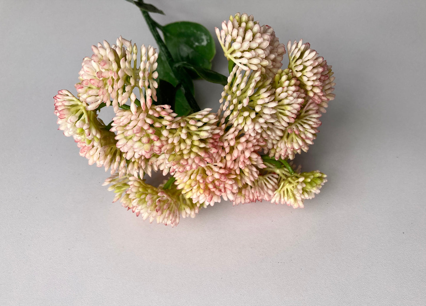 Light Pink Sedum Spray