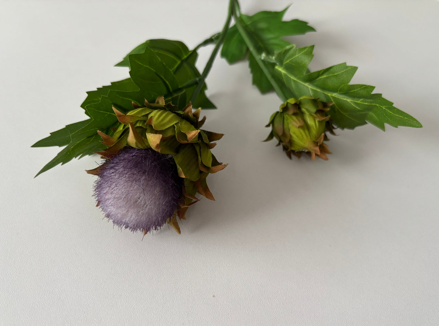 Thistle Spray