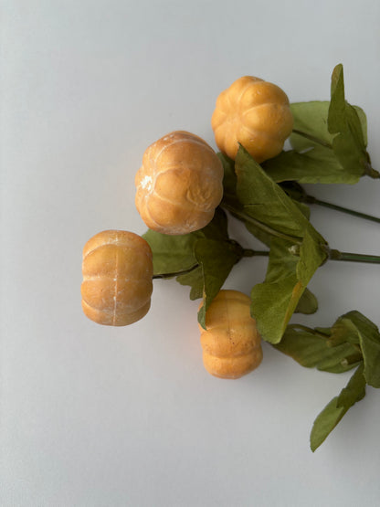 Soft Brown Pumpkin Bunch