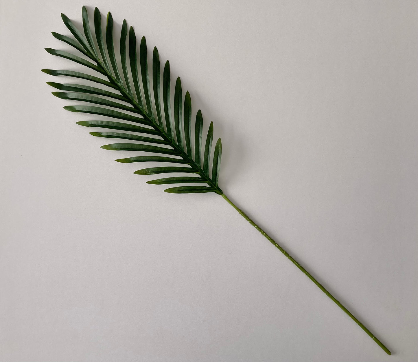 62cm Areca Palm Leaf