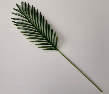 62cm Areca Palm Leaf