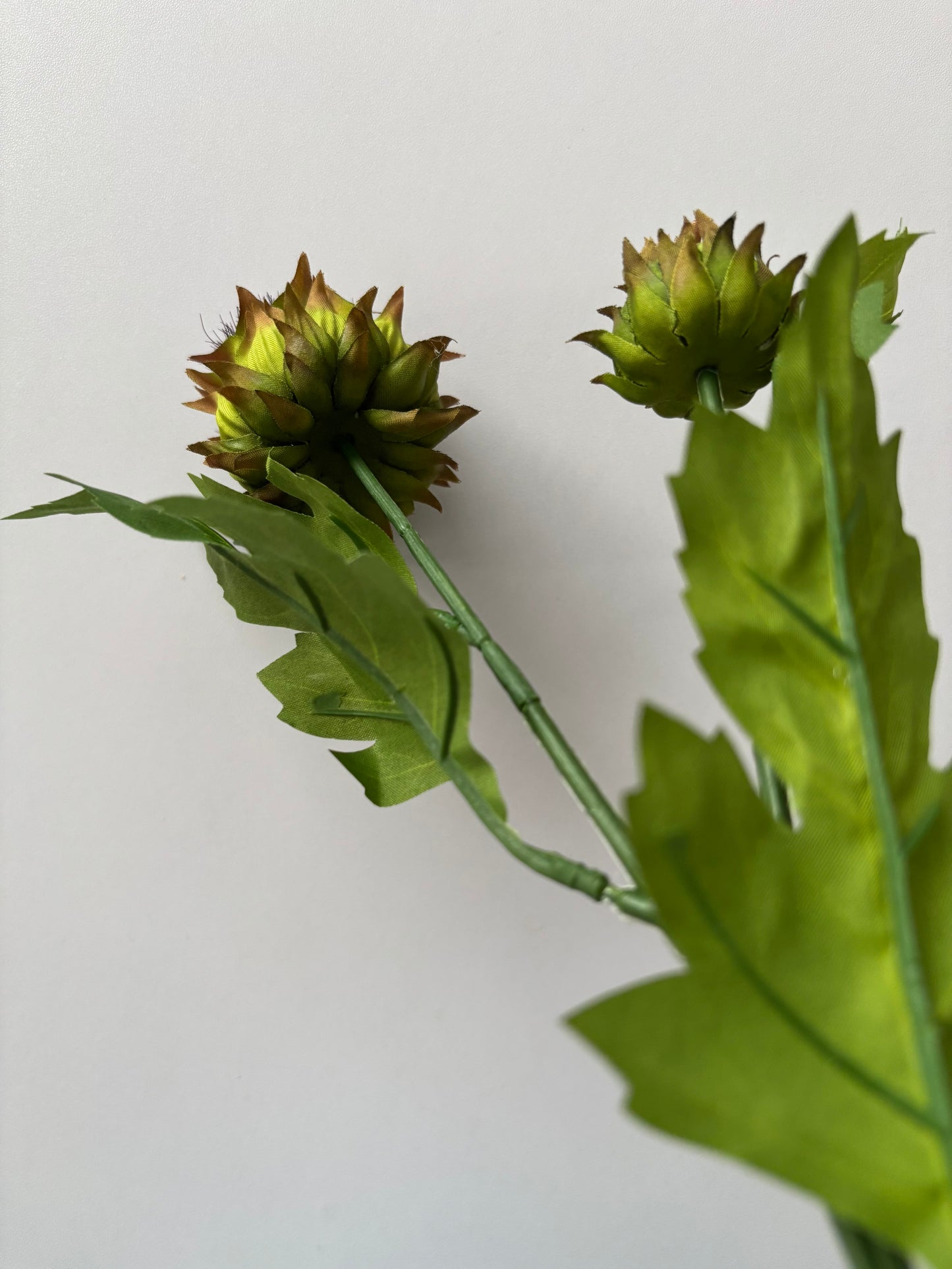 Thistle Spray