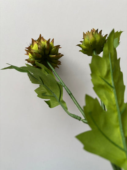 Thistle Spray