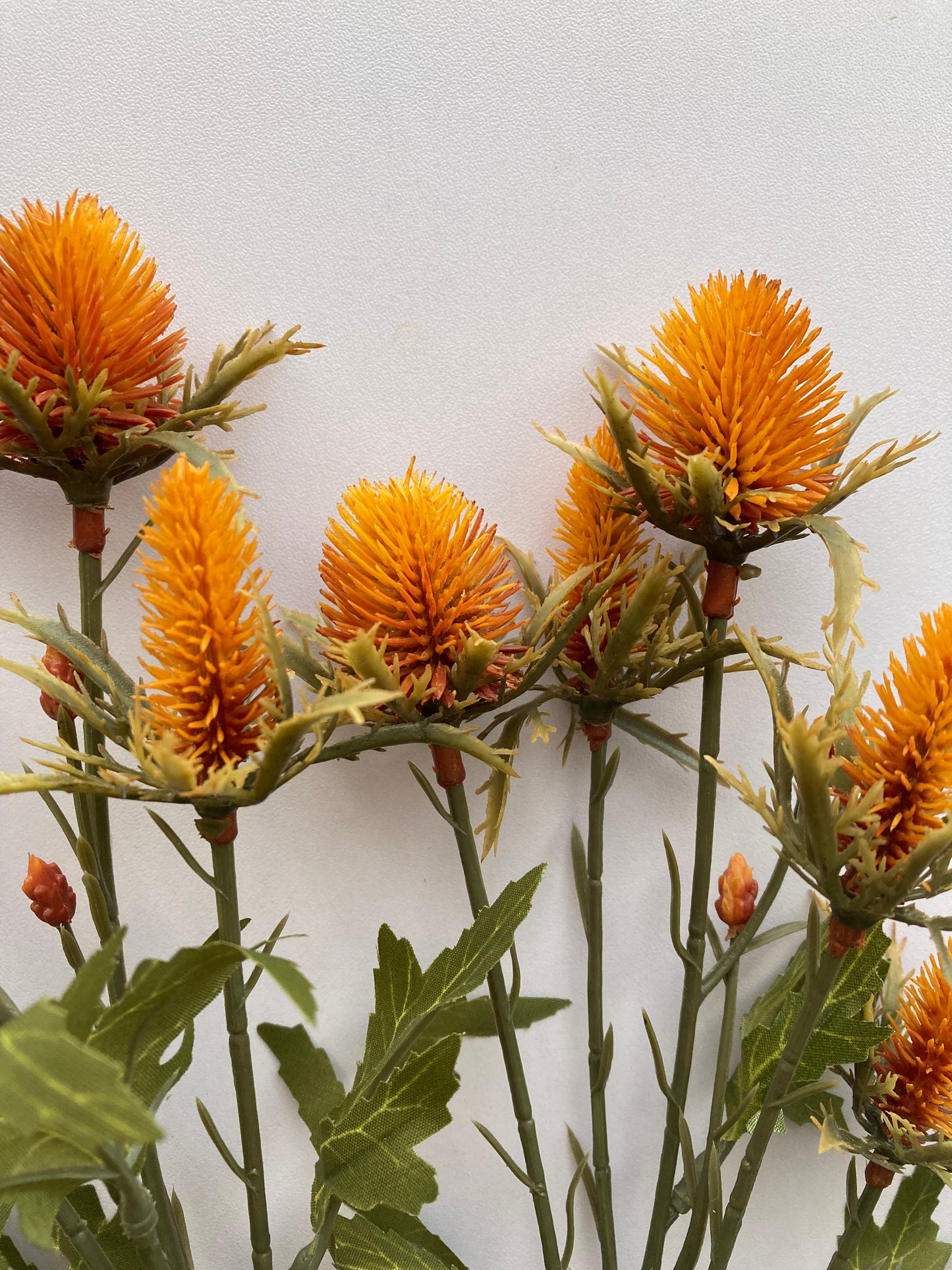 Dry Sea Holly Spray