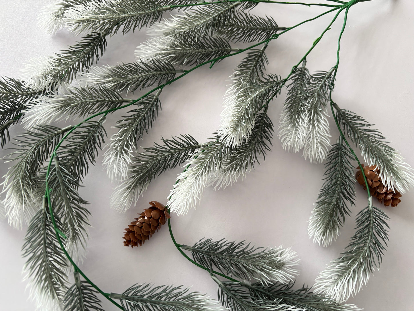 Snowy Tipped Spruce Trailing