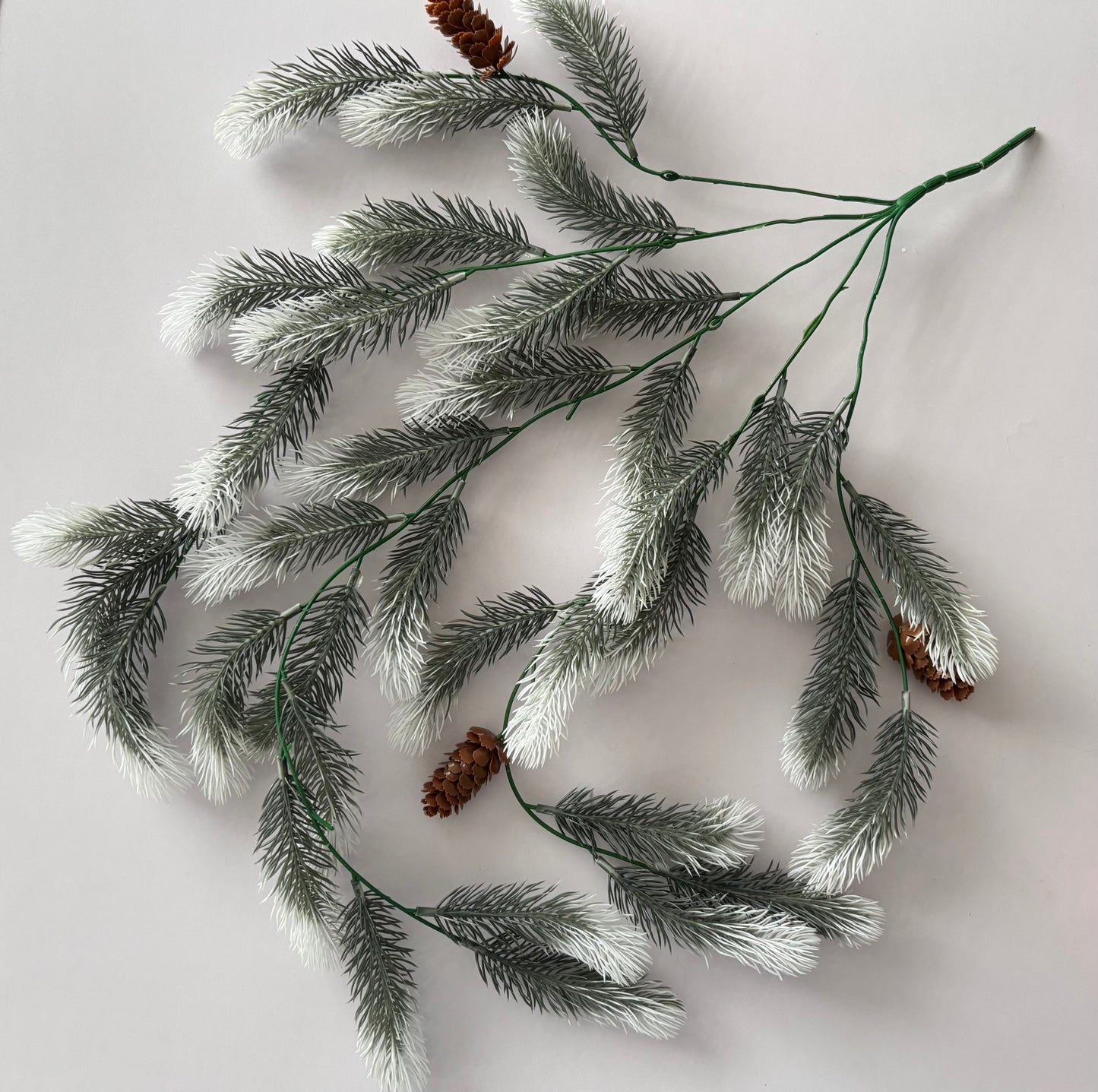 Snowy Tipped Spruce Trailing