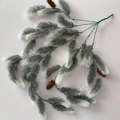 Snowy Tipped Spruce Trailing