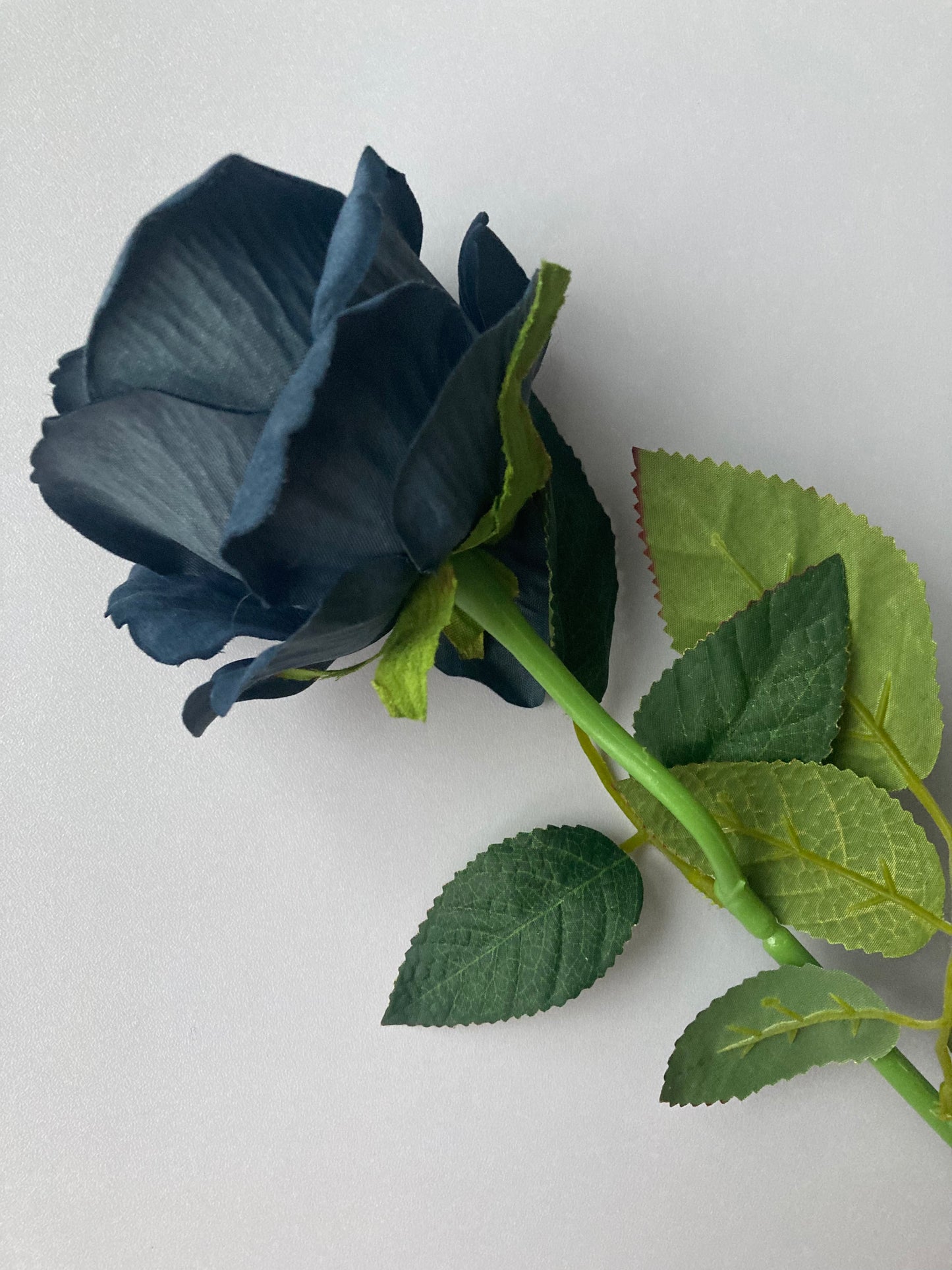 Dark Navy Velvet Rose