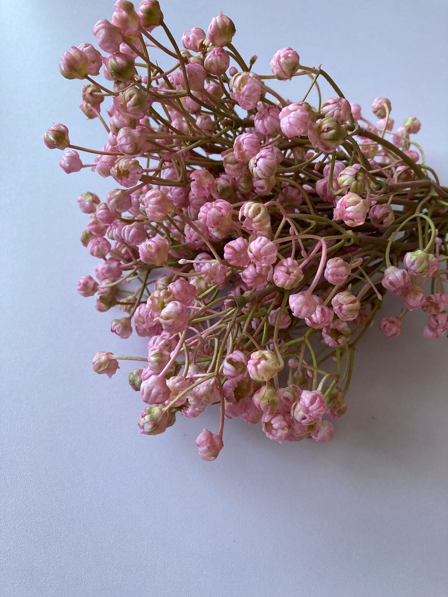 Light Pink Baby's Breath Bunch