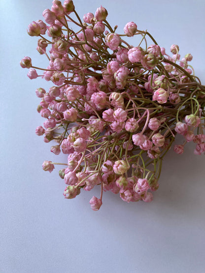 Light Pink Baby's Breath Bunch