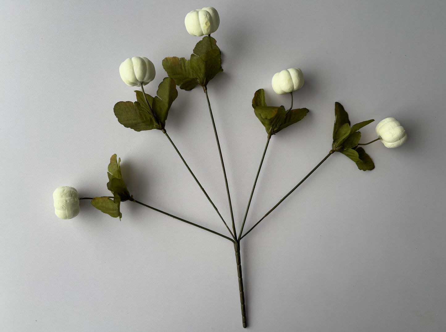 White Pumpkin Bunch