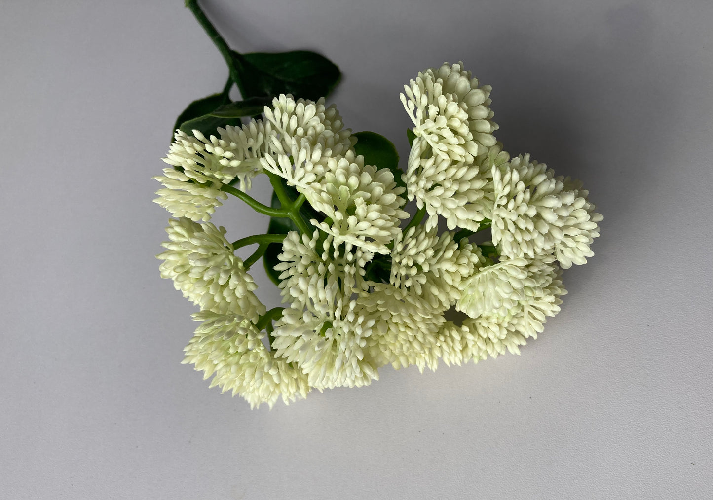 White/Ivory Sedum Spray