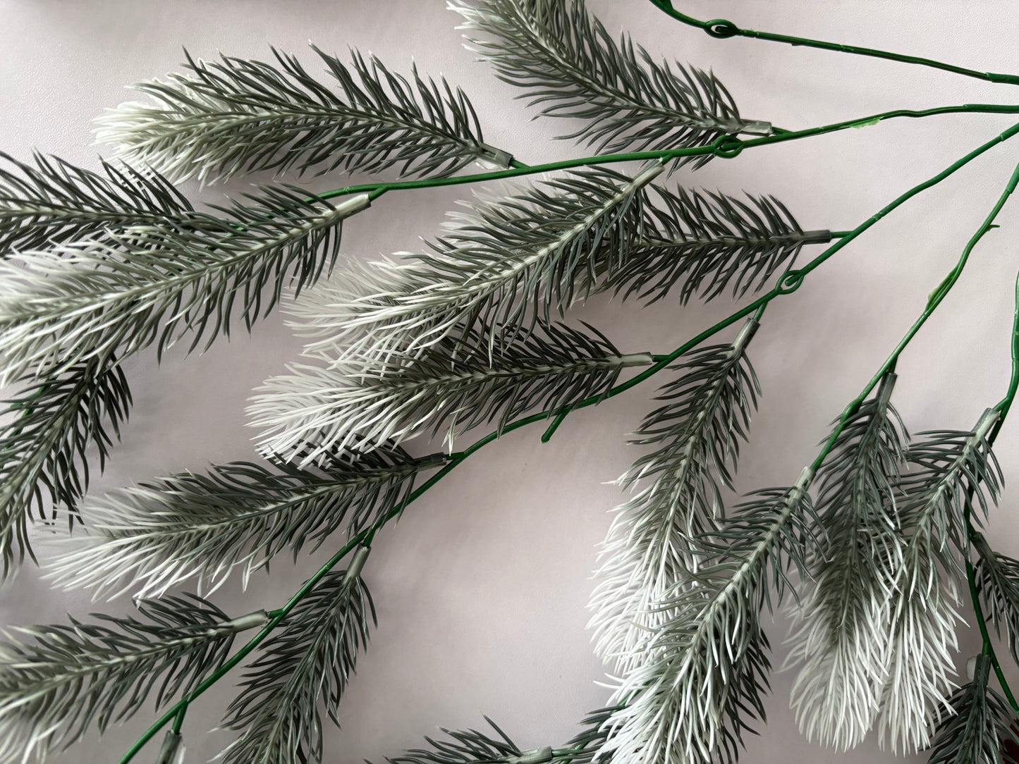 Snowy Tipped Spruce Trailing