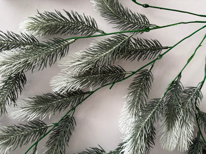 Snowy Tipped Spruce Trailing