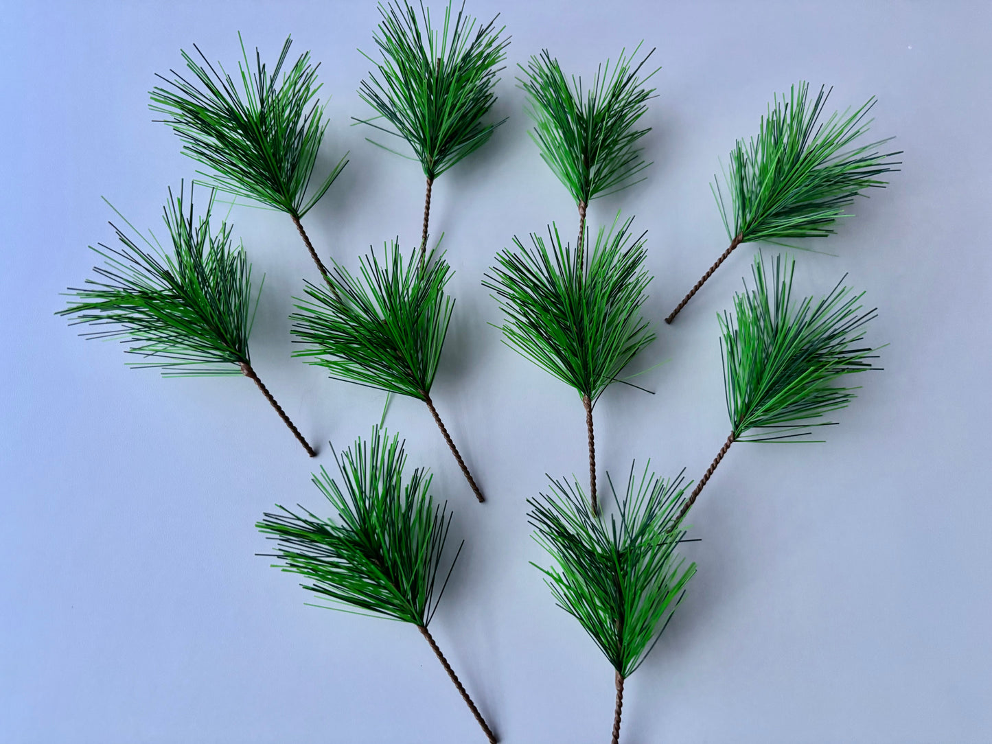 10 Pine Needle Stems