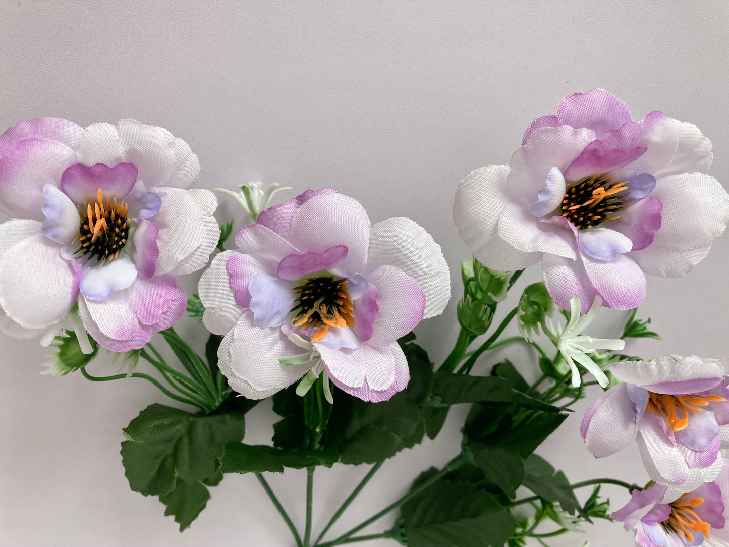 5 Lilac Anemone Bunch