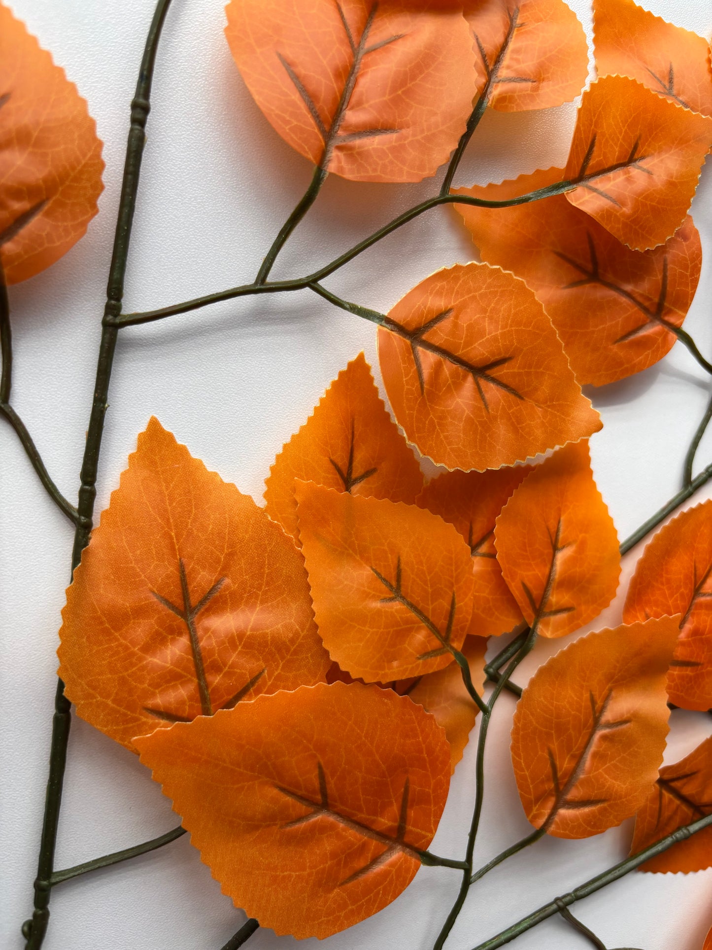 Autumn Ficus Foliage Spray