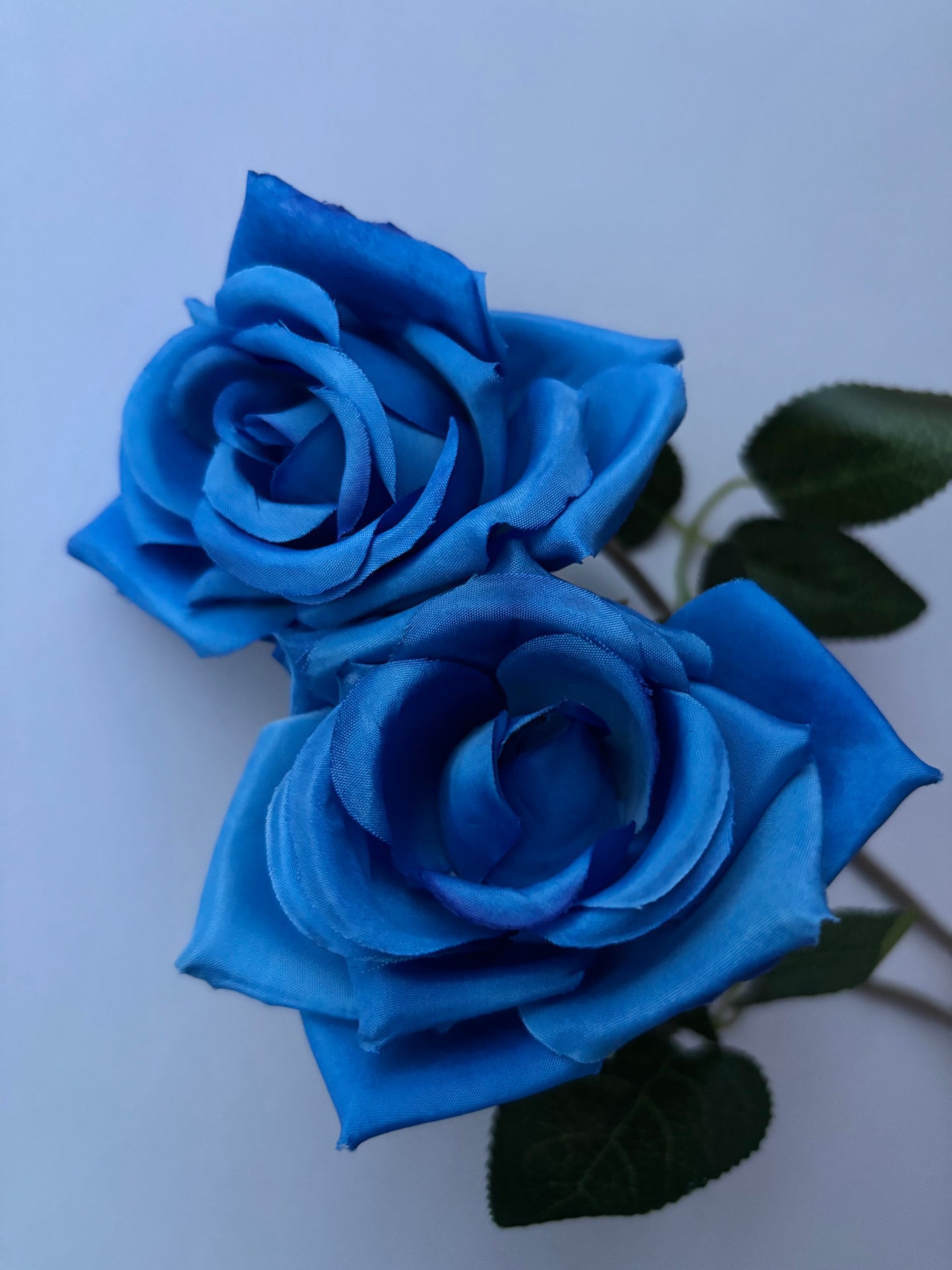 Diamond Blue Rose Stem