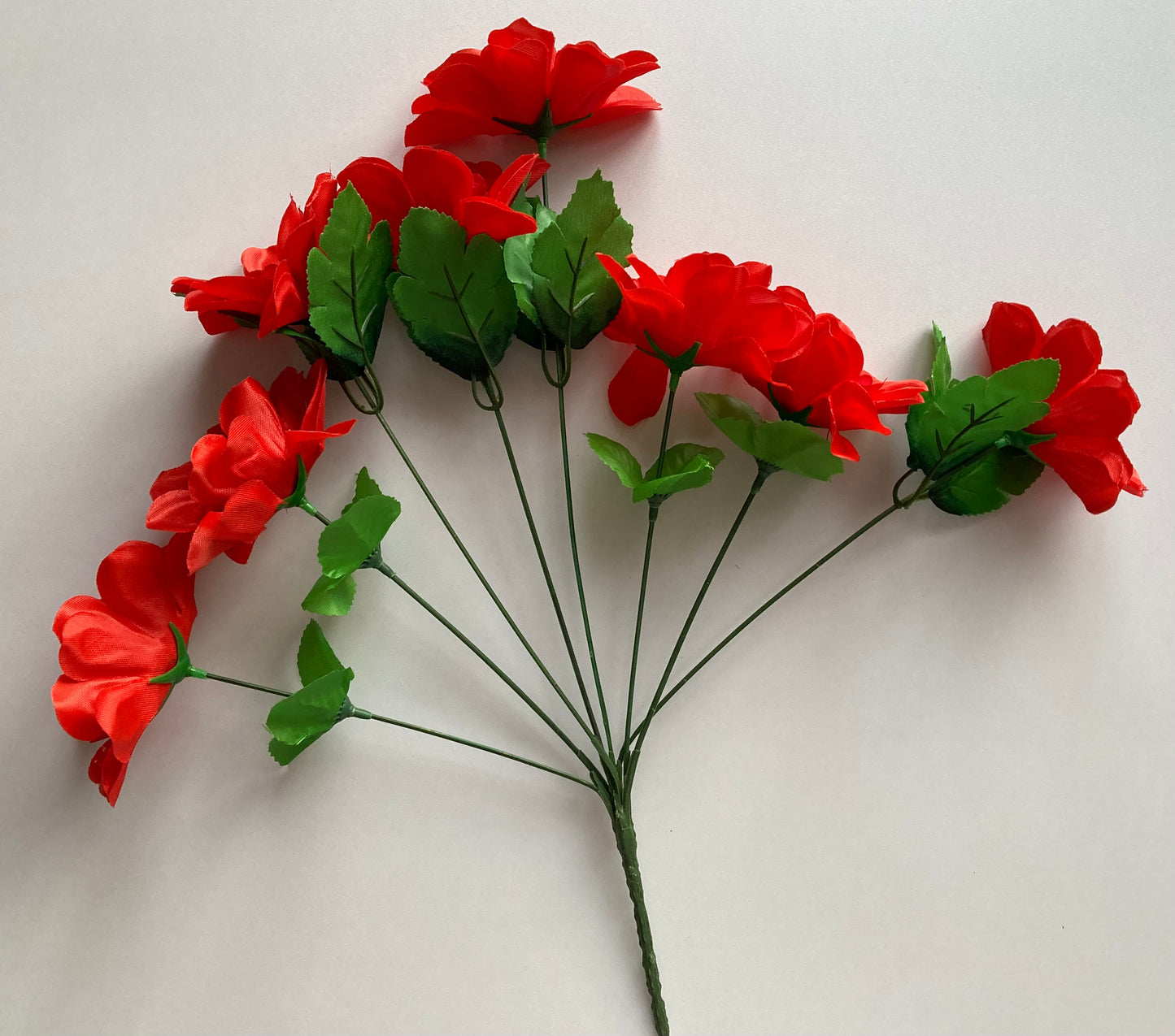 Red Dahlia Bunch