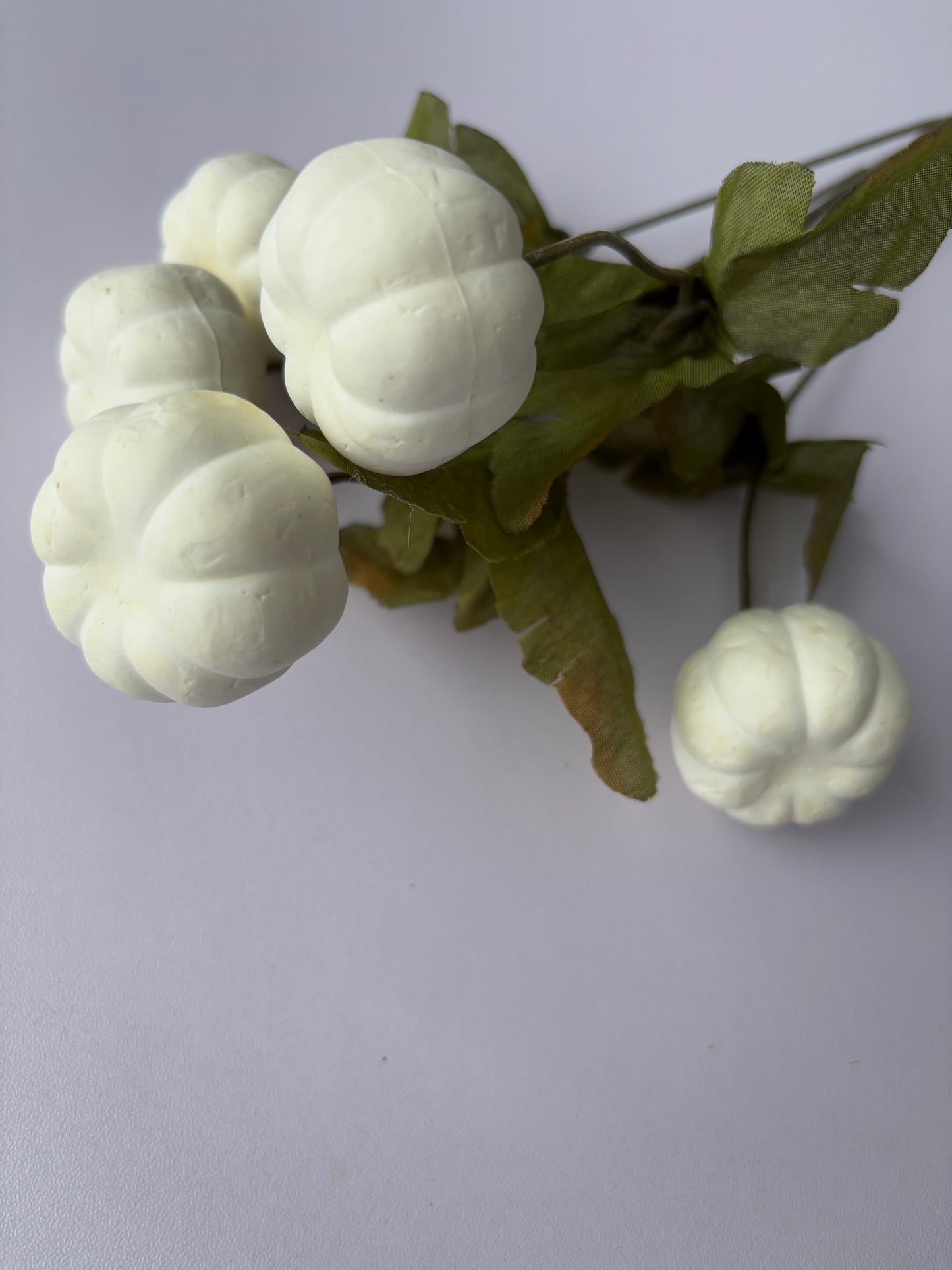 White Pumpkin Bunch