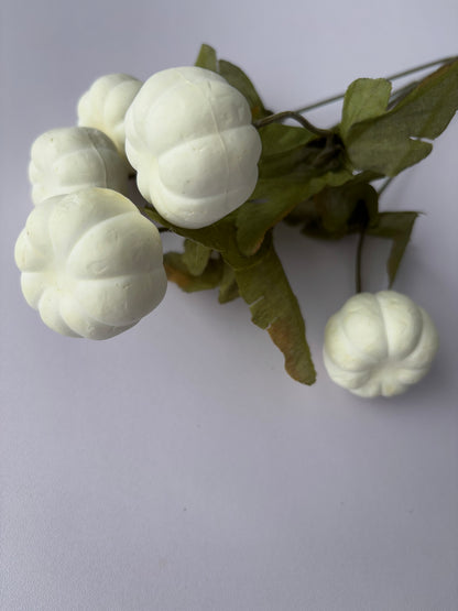 White Pumpkin Bunch