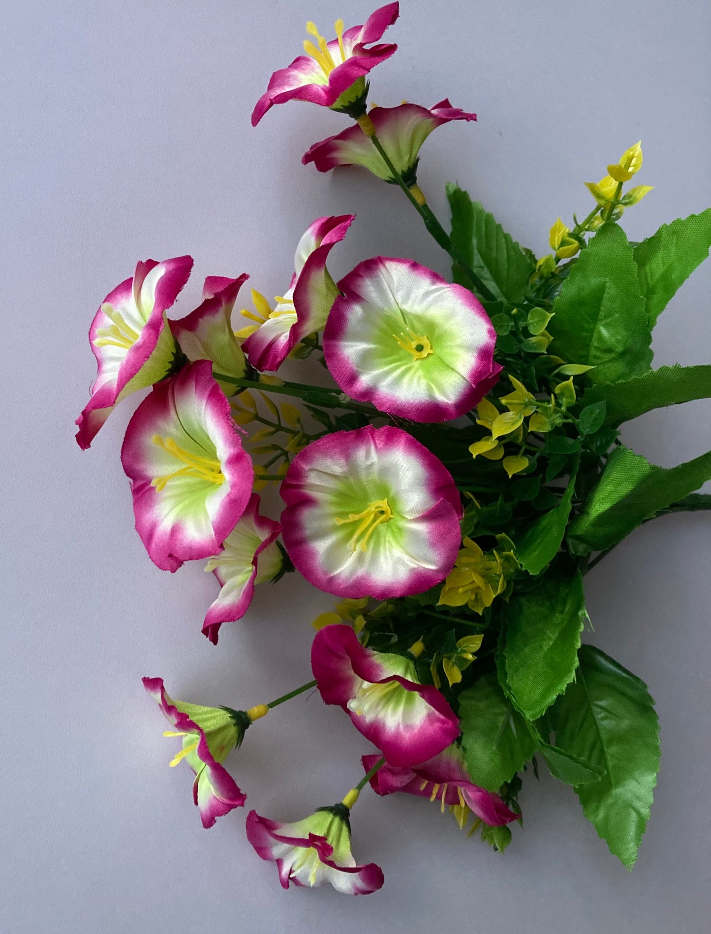 Pink Morning Glory Bunch