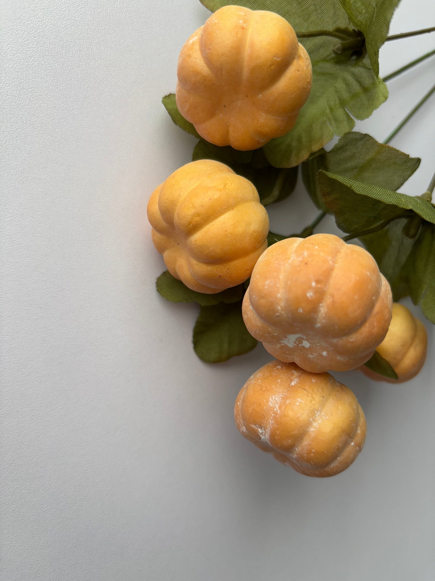 Soft Brown Pumpkin Bunch