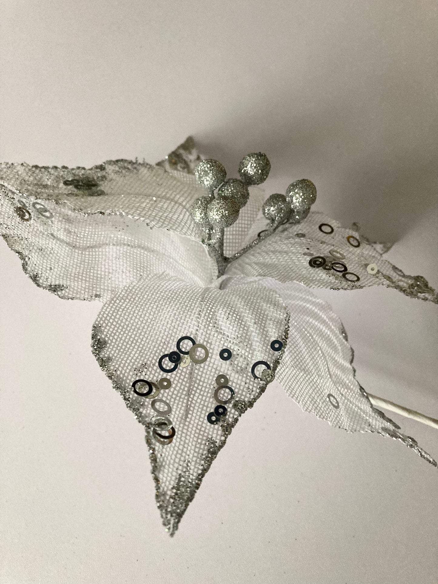 White & Silver Poinsettia