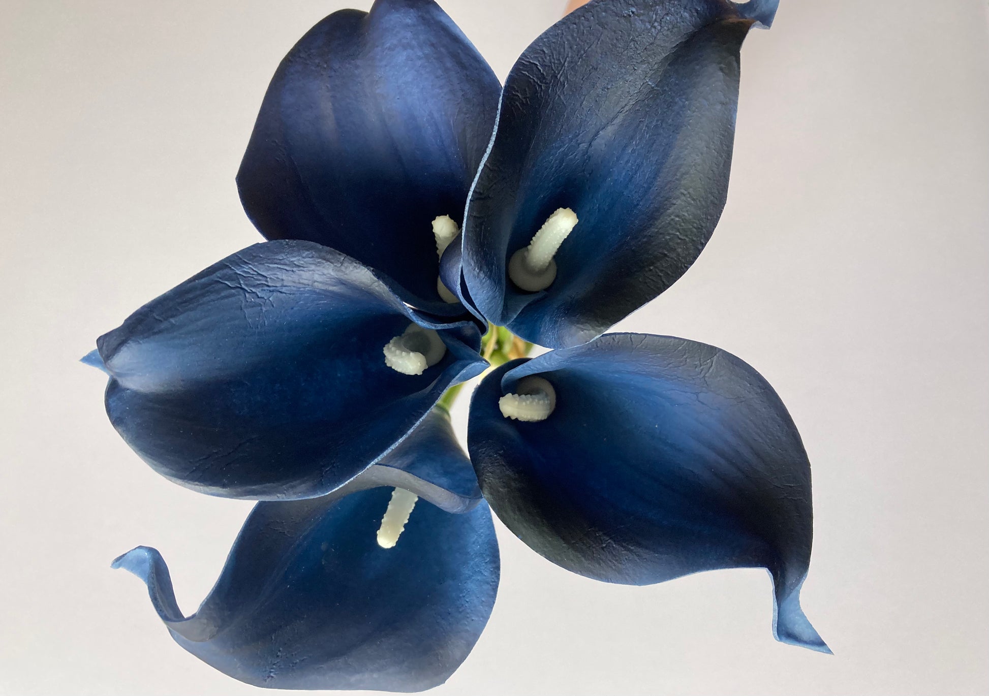 navy blue and white calla lily 5 Navy Real Touch Calla Lily Bunch