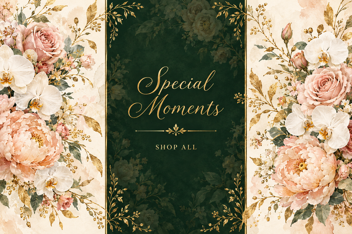 Special Moments Shop All