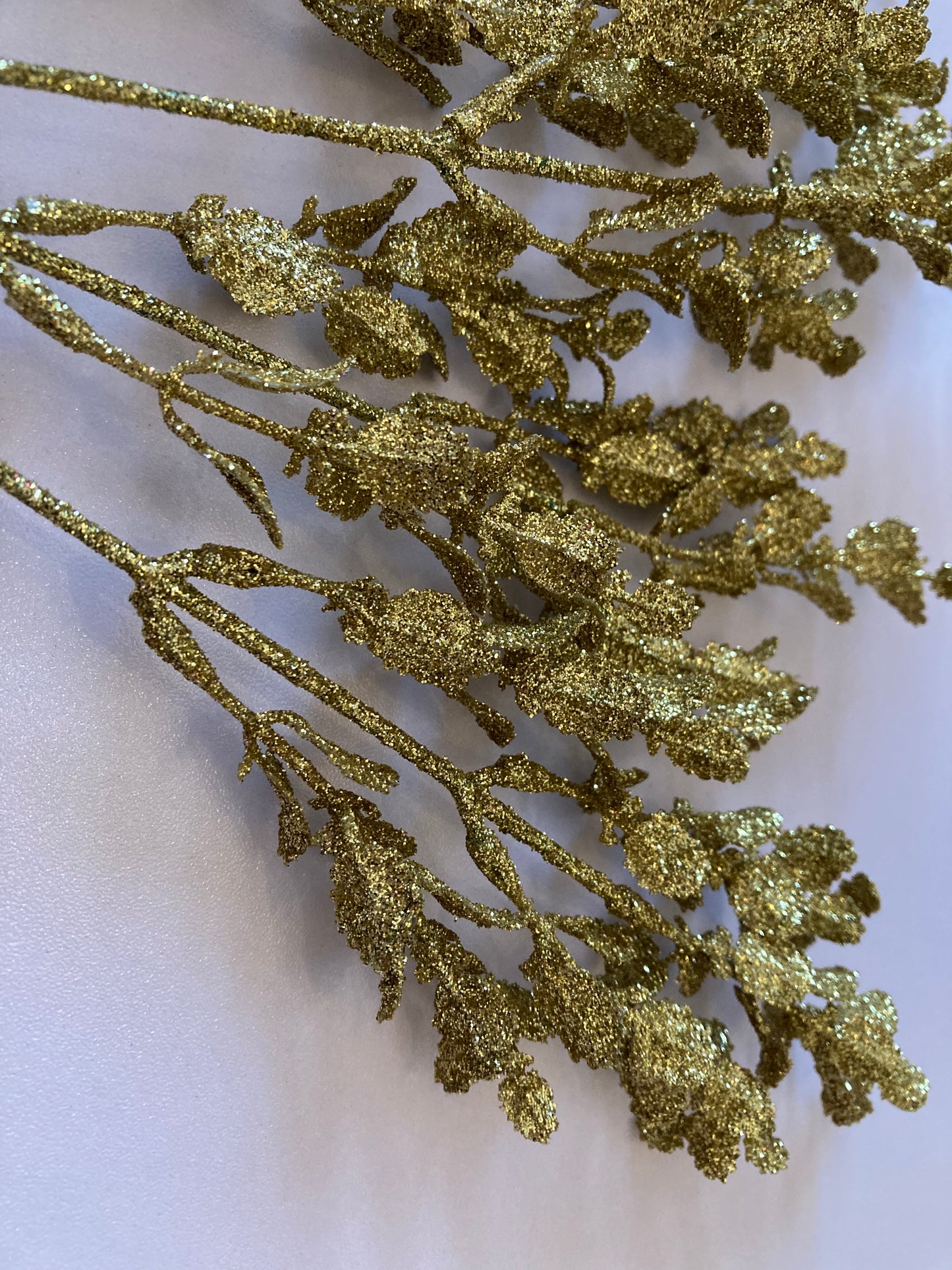Gold Eucalyptus