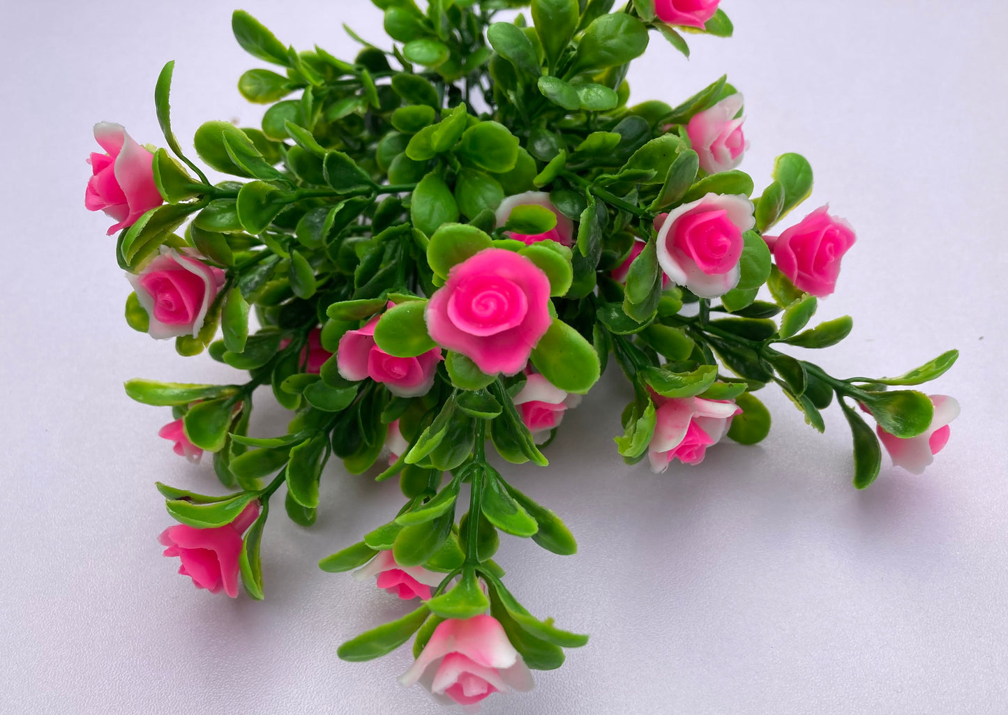 Pink Small Rose Bush