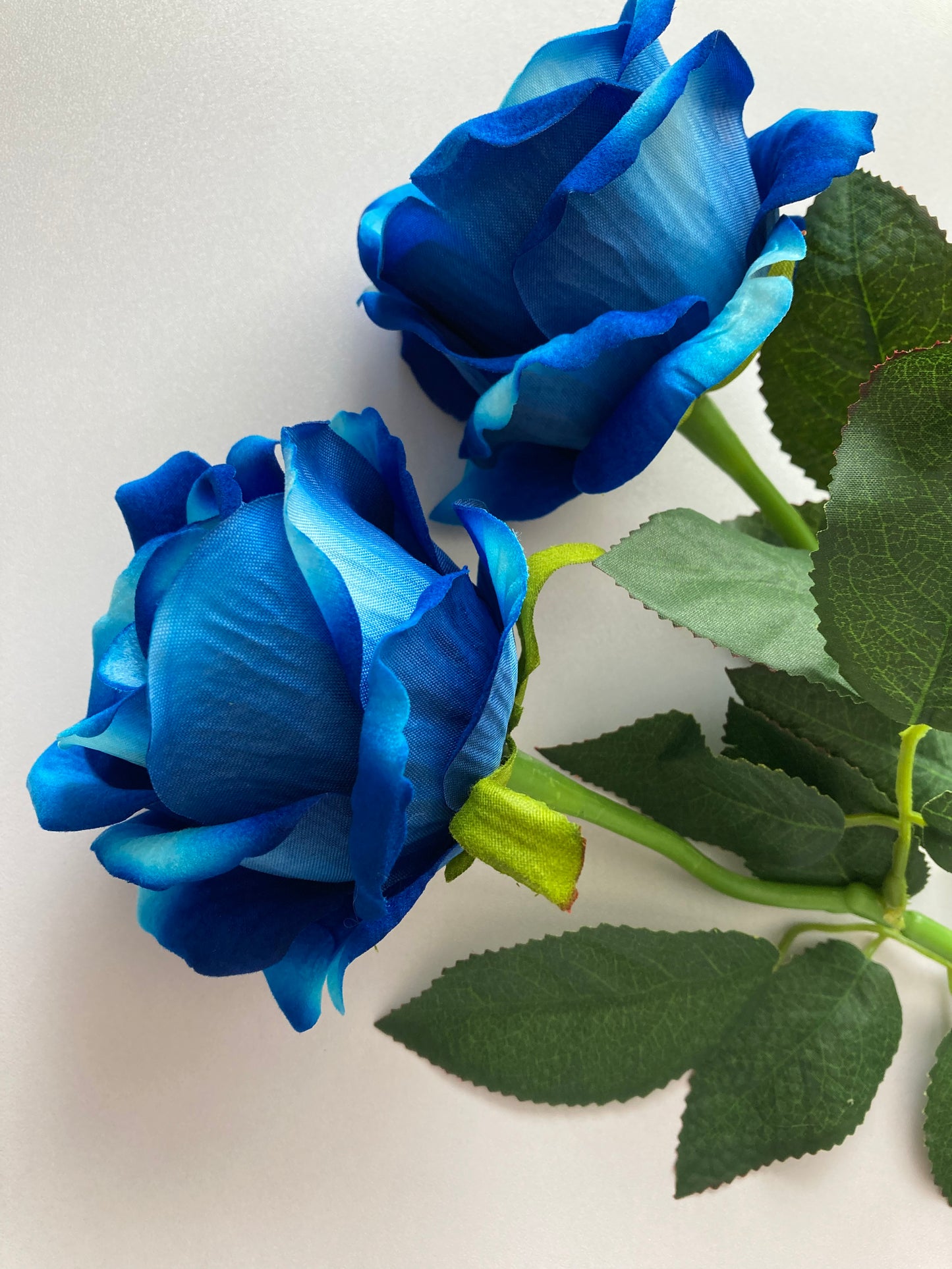 Mixed Blue Velvet Touch Rose