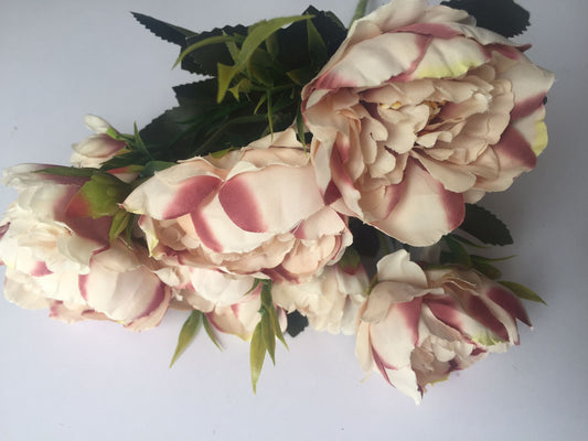 Mauve Tipped Peony Bunch