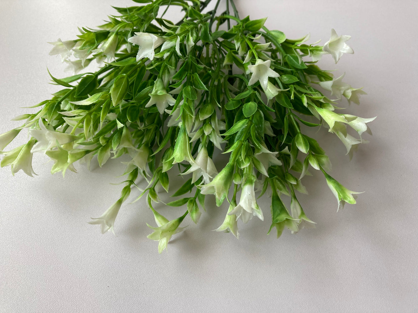 White Wild Lily Flower Foliage