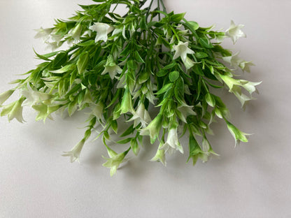 White Wild Lily Flower Foliage