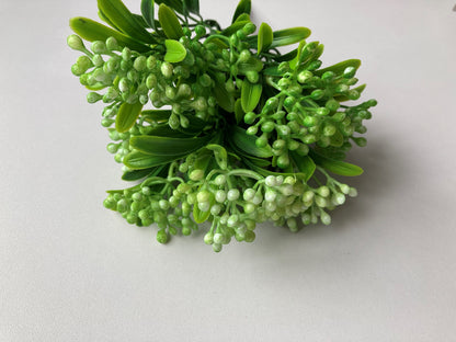 Green Berries