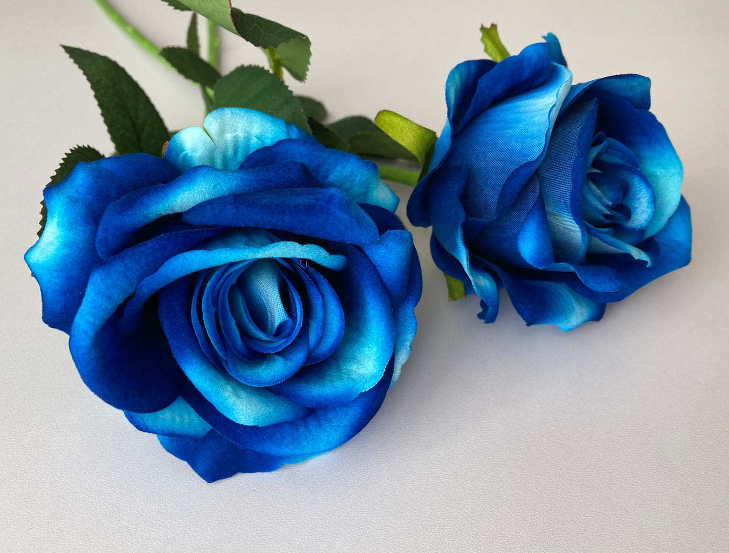 Mixed Blue Velvet Touch Rose