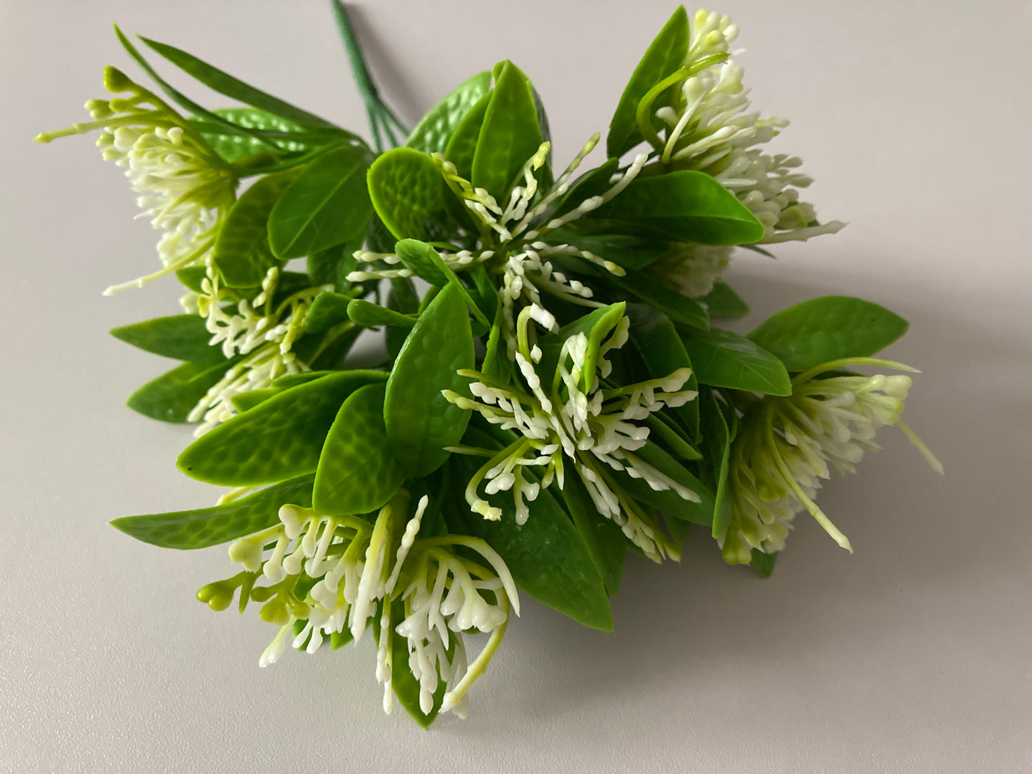 White Flower Foliage