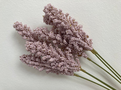 Lilac Seeded Astilbe