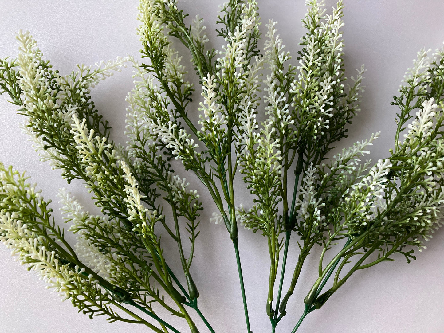 White Tipped Astilbe Bunch