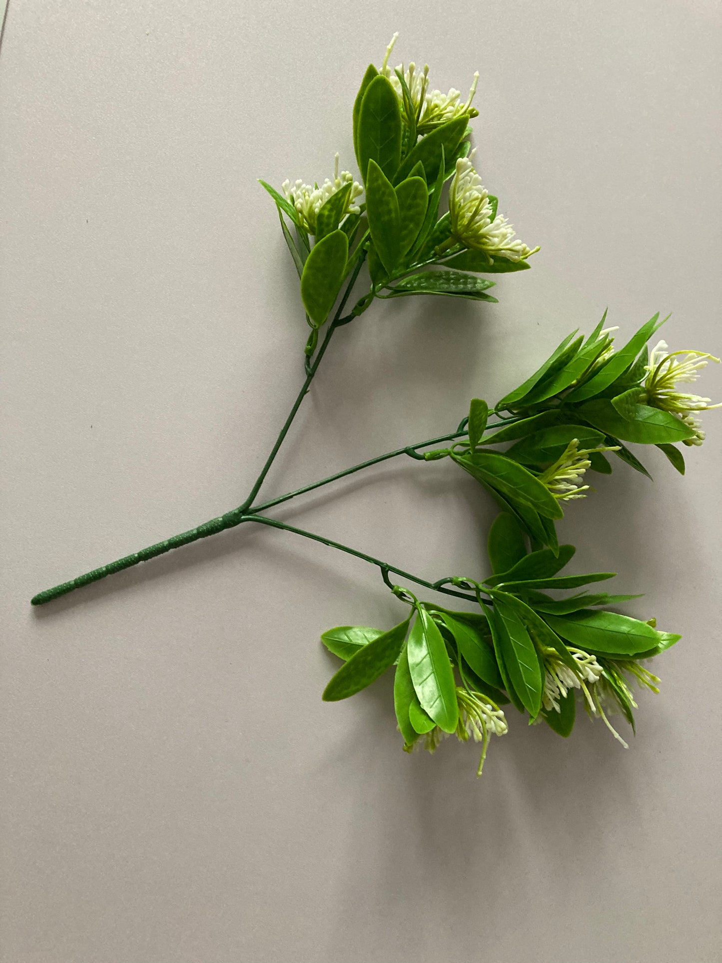 White Flower Foliage